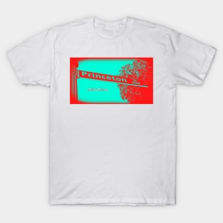 Princeton Street, Santa Monica, California by Mistah Wilson T-Shirt